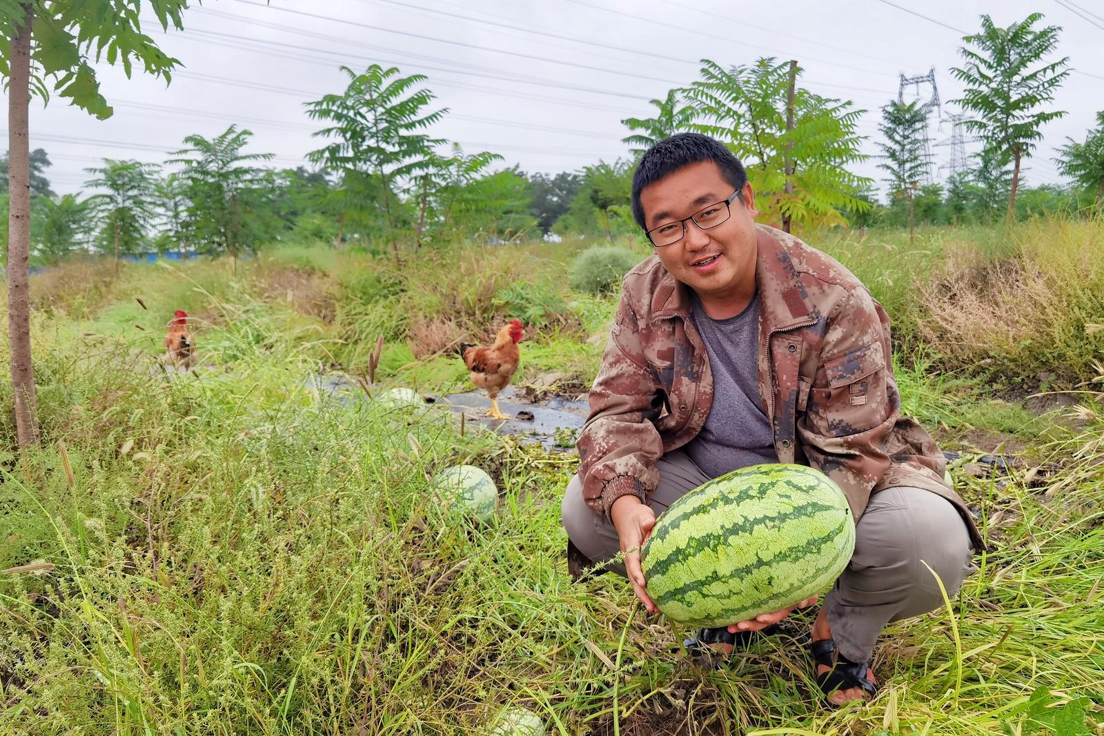 东方惠农最新动态解读，迈向农业现代化新征程