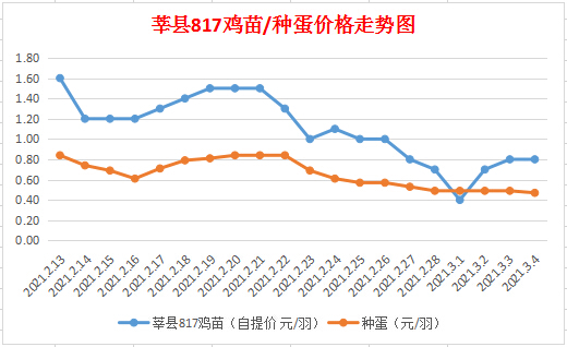 今日鸡苗价格更新，深度解析817鸡苗市场走势