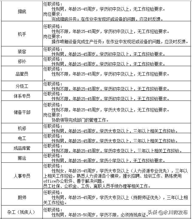 永川最新招聘信息深度解析与探讨