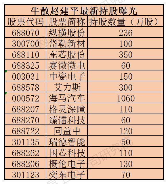 赵建平最新持股动向，深度解析及前景展望