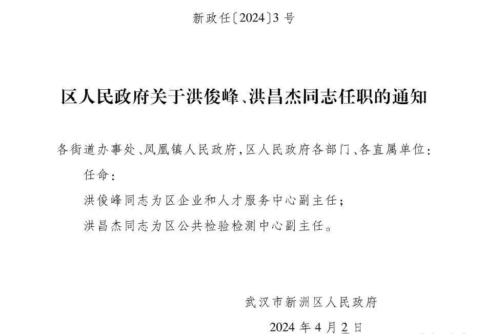 武汉人事任免调整，领导力量整合助力城市发展新篇章