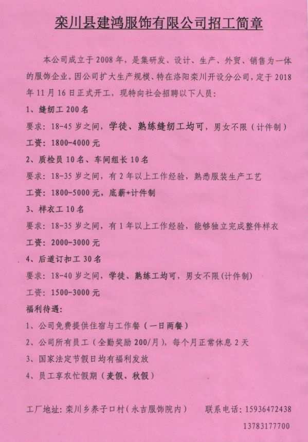 栾川在线最新招聘信息全面解析