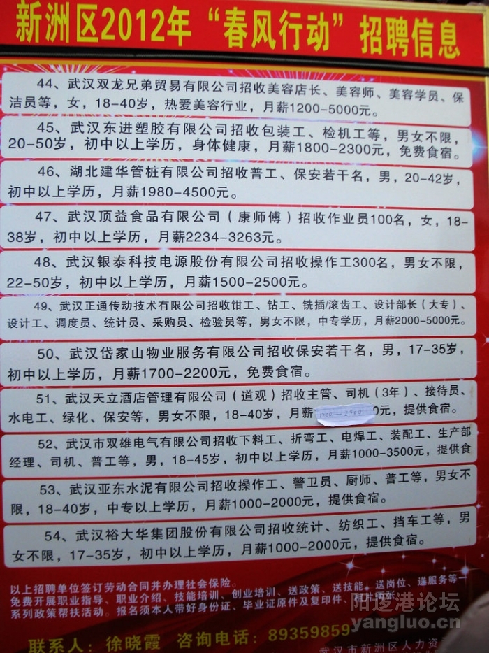 沙洋招聘网最新招聘动态及其区域影响分析