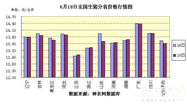 全国今日生猪价格及最新动态概览