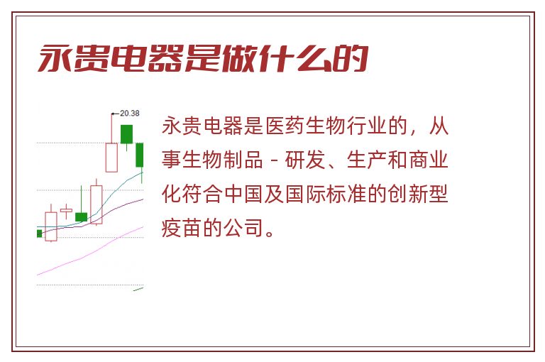 永贵电器最新消息综述，企业动态与市场发展同步更新