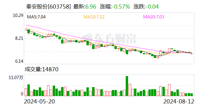 秦安股份最新消息全面解读与分析