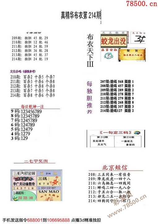 正版真精华布衣天下今天,重要性解释定义方法_bundle21.338