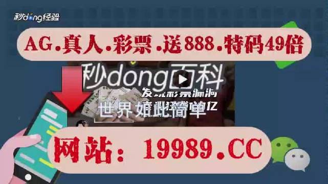 新澳门2024开奖结果,深入解析数据应用_专业款54.446