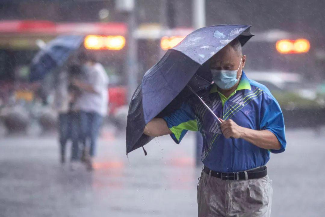 最新台风预报解读，2017年台风季预测分析概览