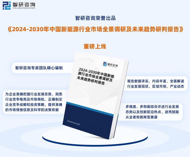 2024新奥正版资料免费提供,可靠分析解析说明_YE版42.390