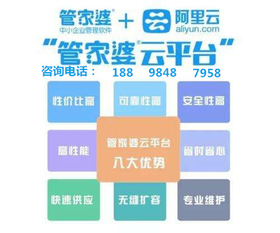 7777788888精准管家婆全准,现状解答解释定义_mShop91.289