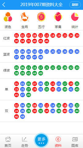 2004新澳门天天开好彩大全,数据导向实施步骤_体验版56.727