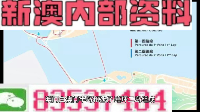 新澳内部资料精准一码免费,实地考察数据分析_RX版39.597