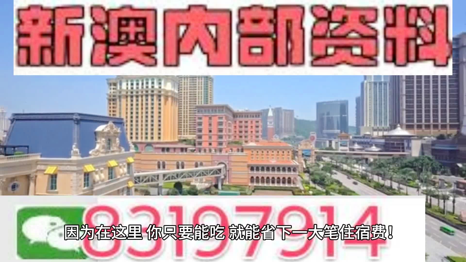 新2024年澳门天天开好彩,前沿解答解释定义_限量版65.104