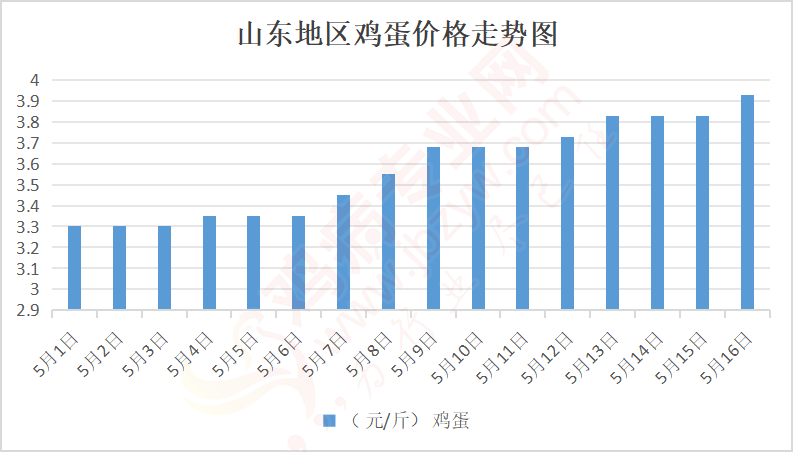 山东今日鸡蛋价格动态解析