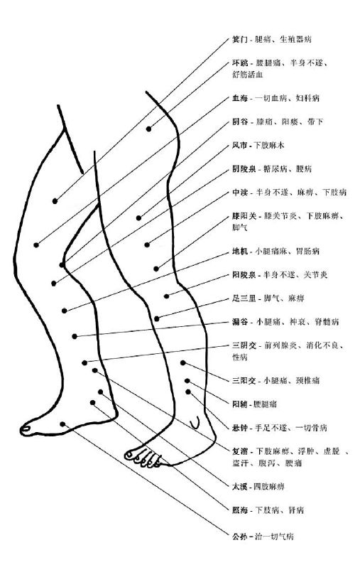 穴位大全下载手册，中医奥秘探索指南