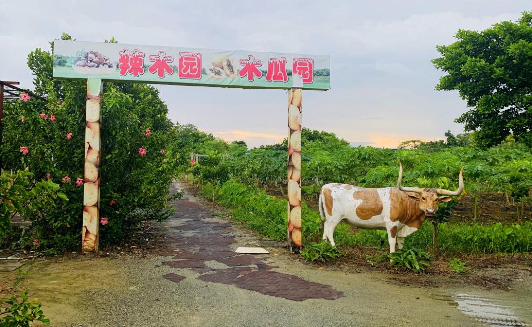 探索虚拟农业商业潜力，最新农场赚钱理财游戏揭秘