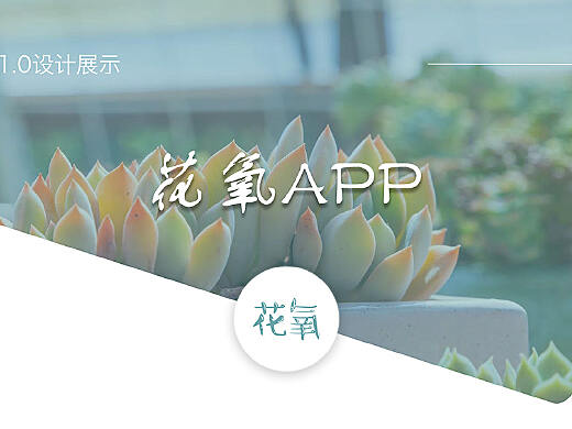 探索花氧App，下载体验与应用价值解析