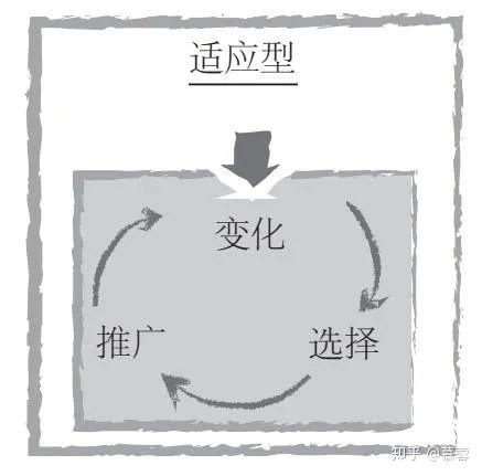 新澳精准资料免费提供,适用实施策略_7DM54.459