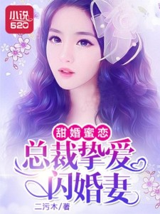 闪婚蜜爱，现代爱情的极速之旅txt下载