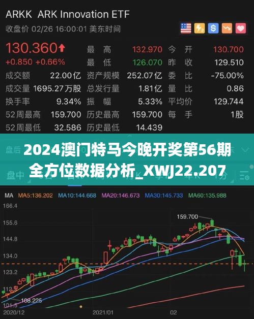 2024新澳门今晚开特马直播,权威解读说明_VR版73.862