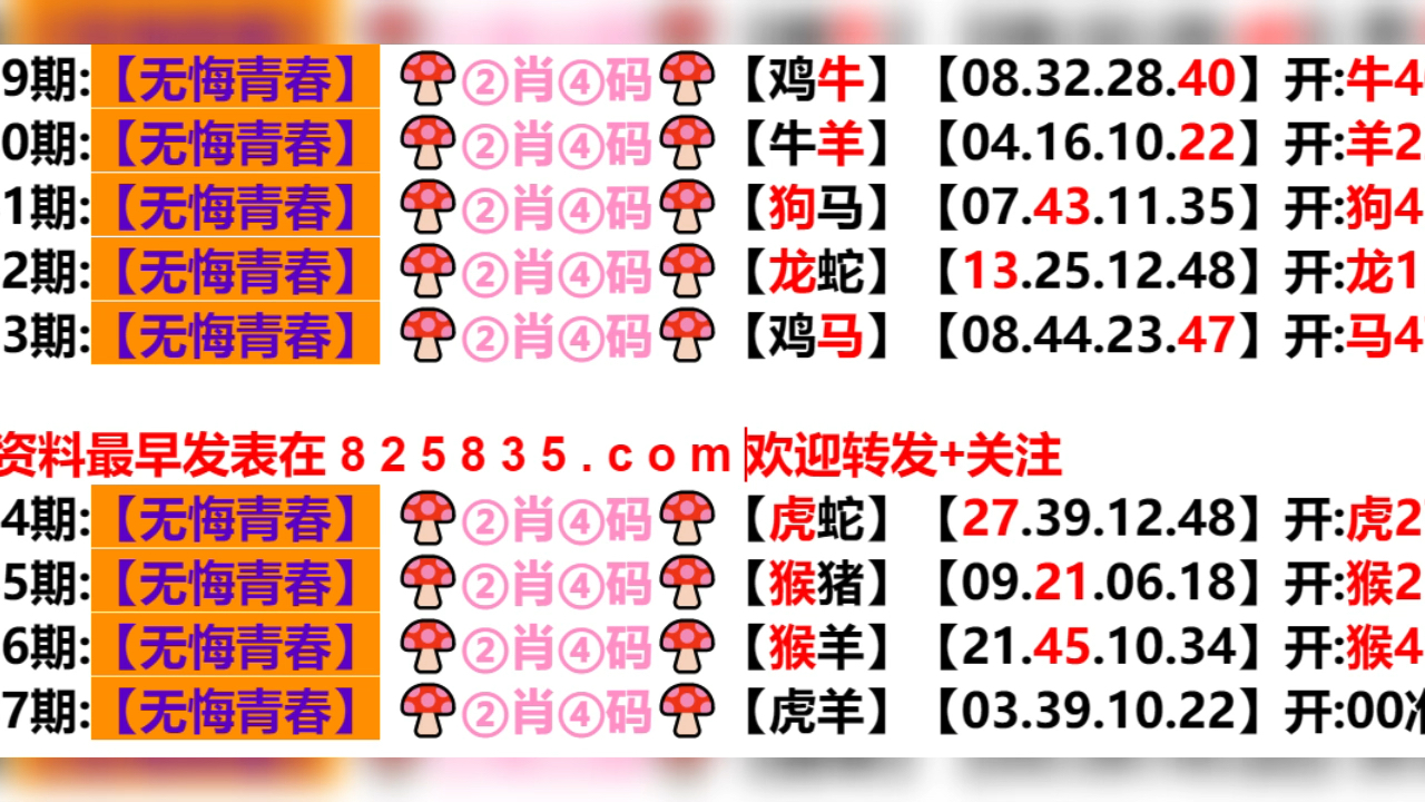 2024新澳门天天开奖攻略,具体步骤指导_Z56.553