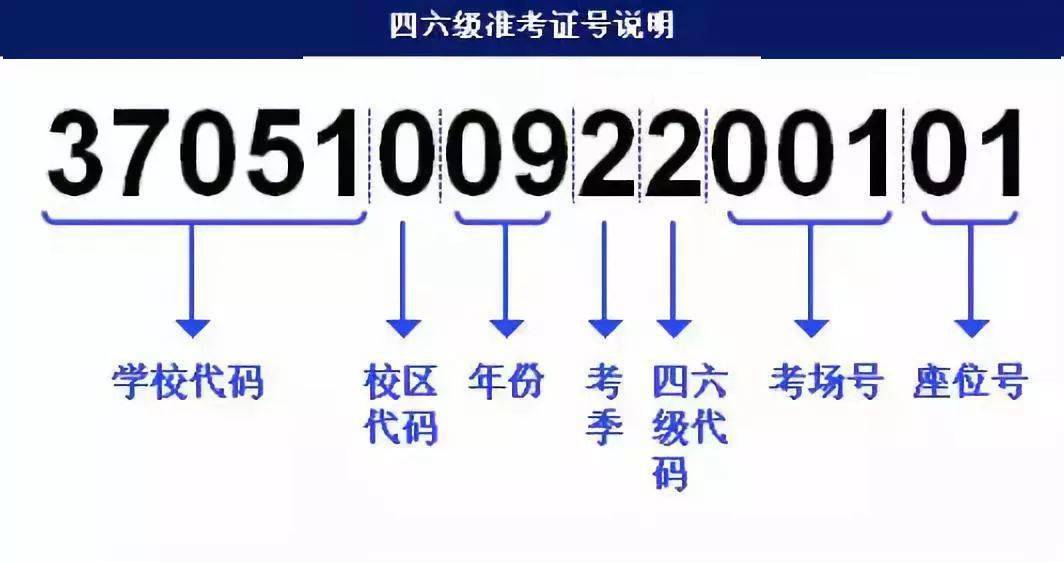 新奥最快最准免费资料,可靠计划执行策略_tool99.368