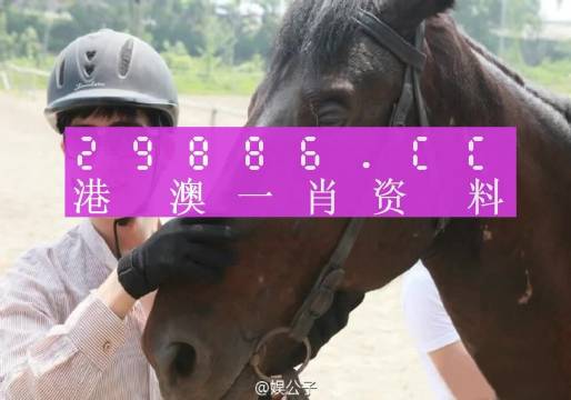 澳门一肖一码一必中一肖,专家意见解释定义_铂金版85.457