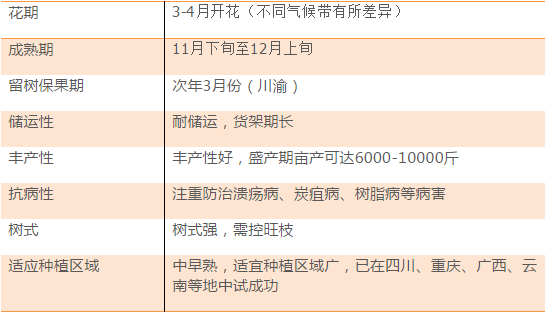 新澳天天开奖资料大全262期,广泛方法解析说明_豪华款15.102