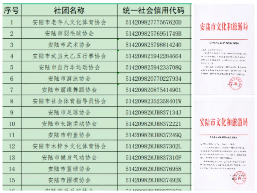 新澳门2024历史开奖记录查询表,精准分析实施步骤_Nexus98.754