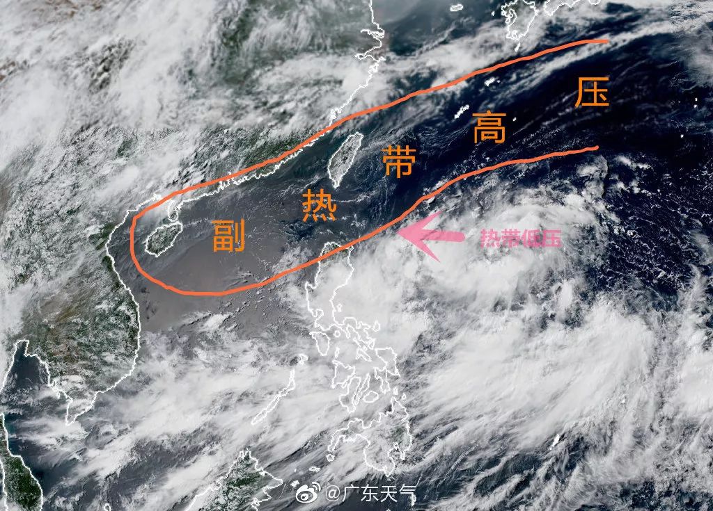 台风最新动态，今日影响分析与预测报告