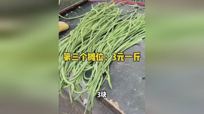 山东芸豆价格最新行情解析