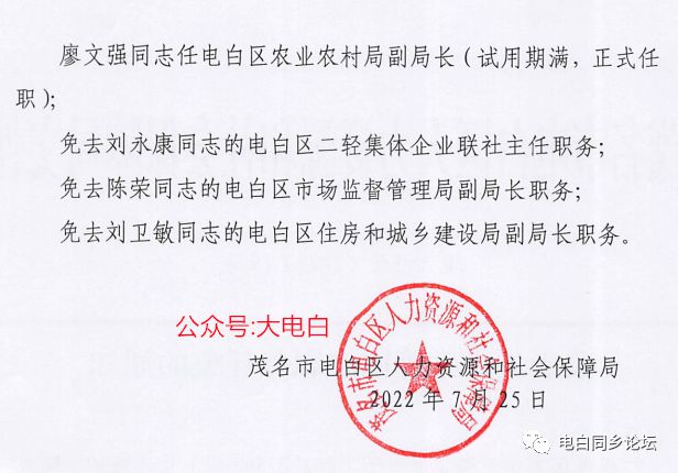 杨店村委会人事任命完成，重塑领导团队，引领村级治理新篇章