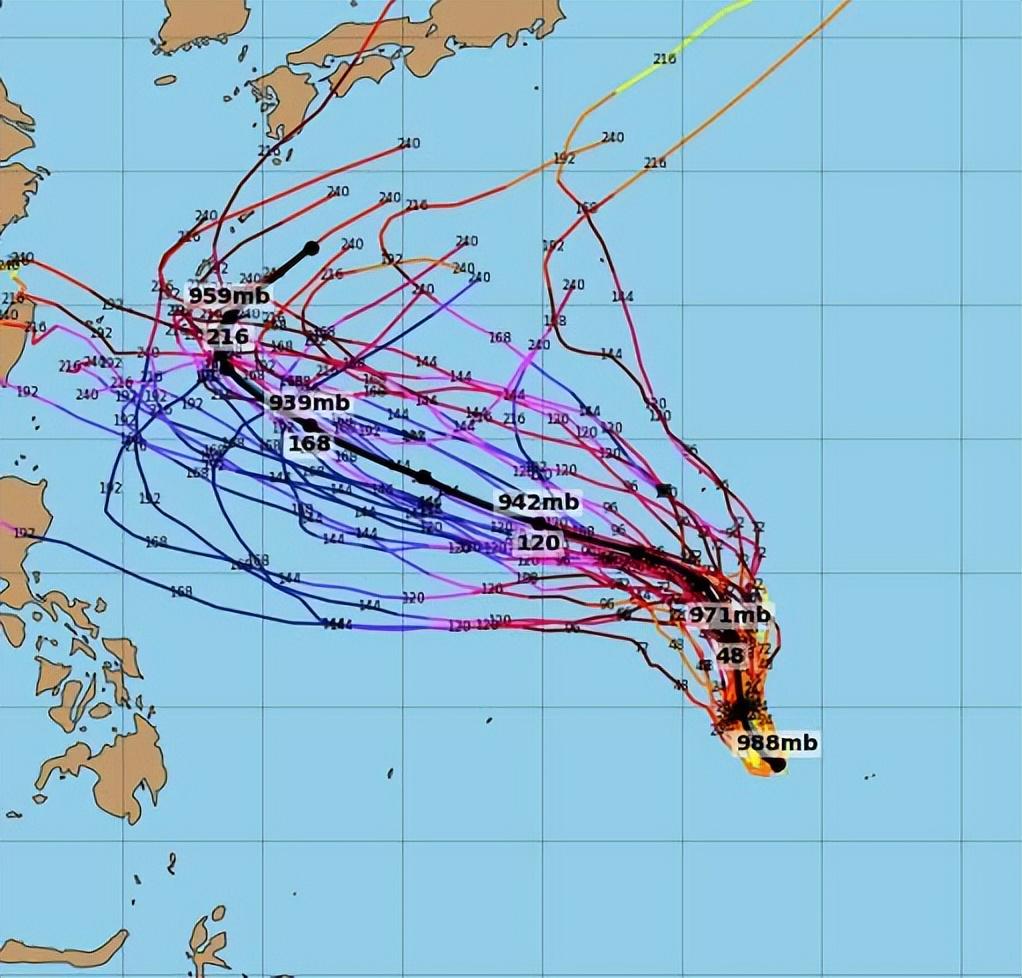 2024年12月6日 第5页