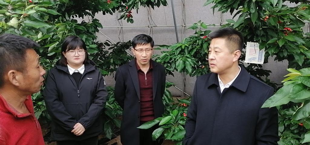 牛毛坞镇领导团队全新亮相，引领未来，铸就辉煌成就