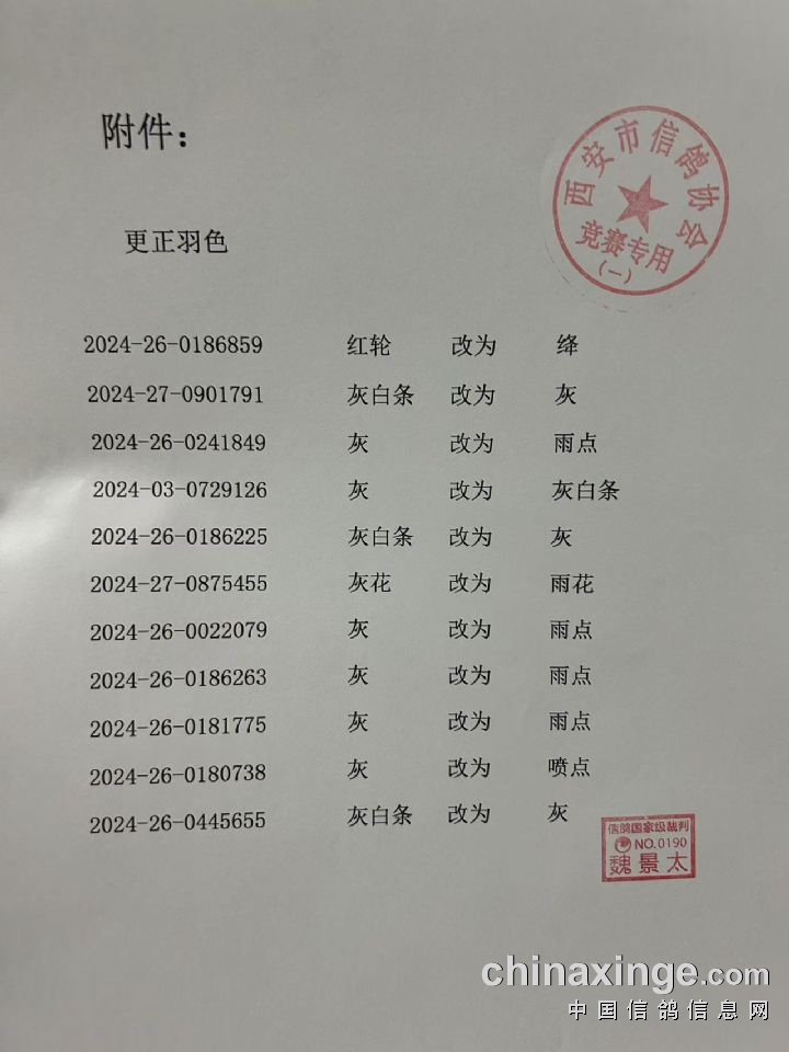 2024年12月9日 第3页