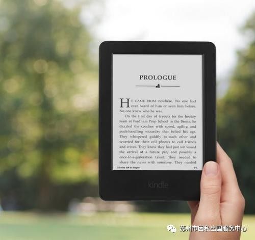 新澳2024今晚开奖结果,收益说明解析_Kindle26.106