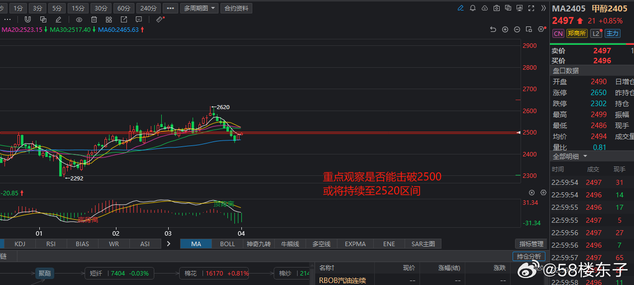 2024年新溪门天天开彩,深入数据执行策略_MT48.575