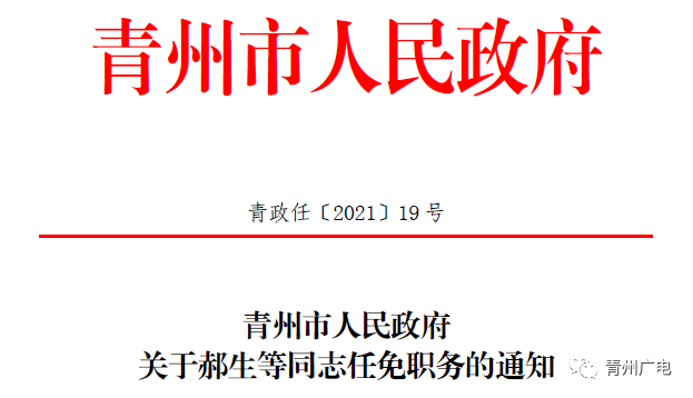 西陵区数据和政务服务局人事任命新动态及其影响分析