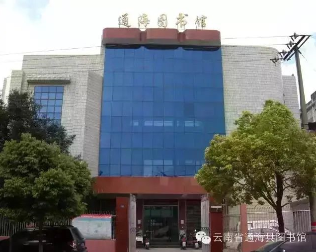 盐源县图书馆发展规划构想与实施策略揭秘