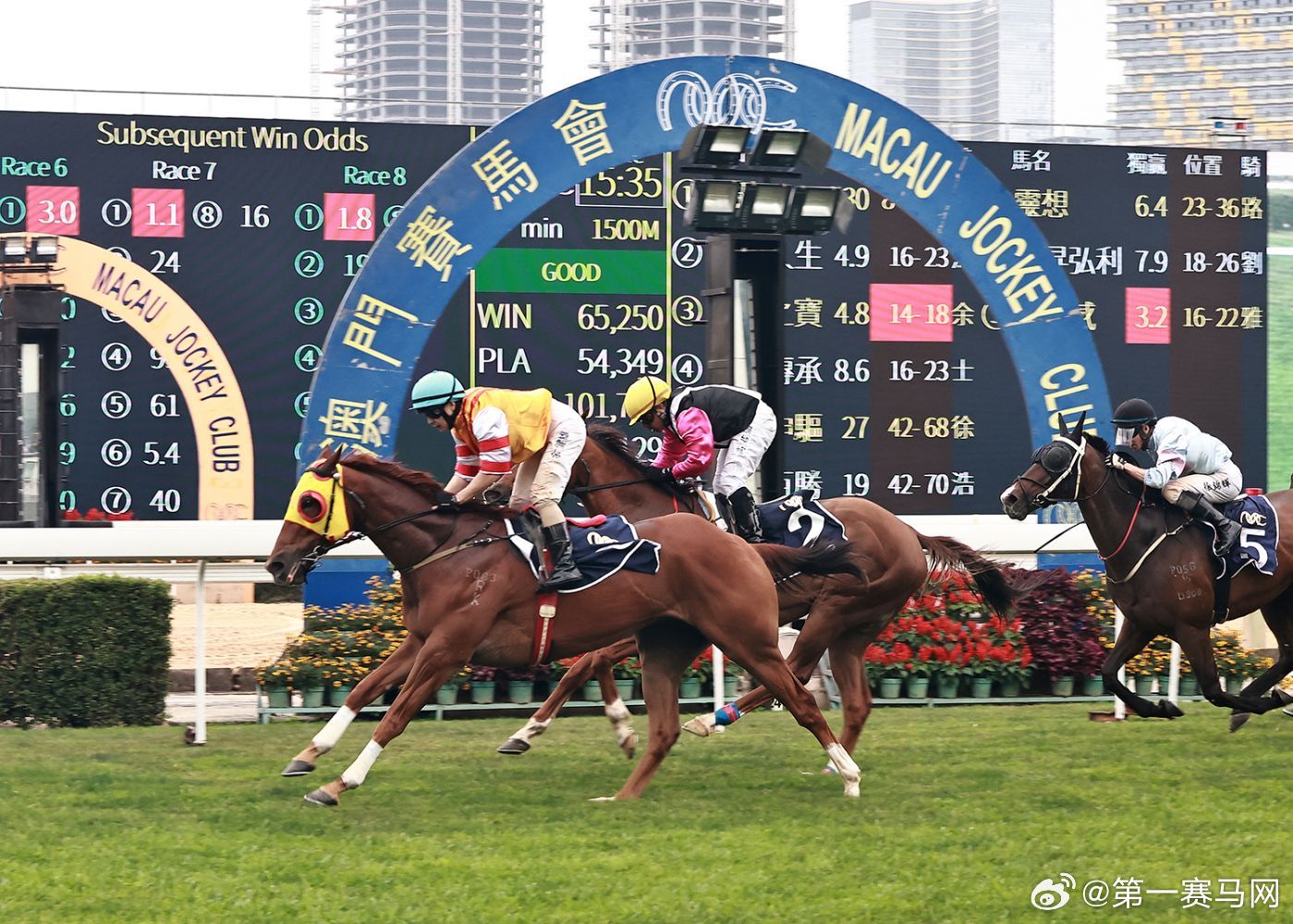 看香港正版精准特马资料,数据驱动计划解析_iPad77.516