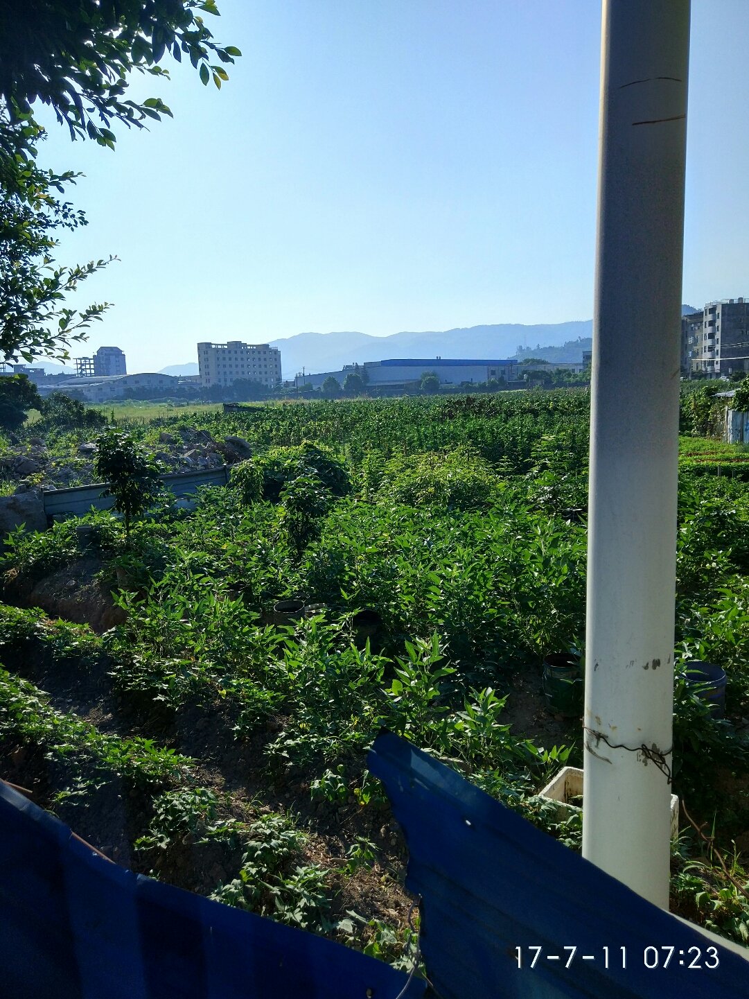 青口镇天气预报更新通知