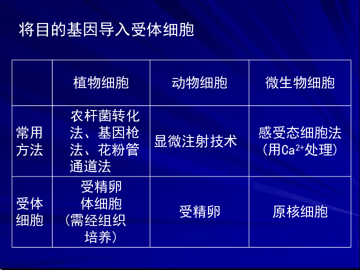 2024管家婆资料一肖,科技成语分析落实_潮流版3.739