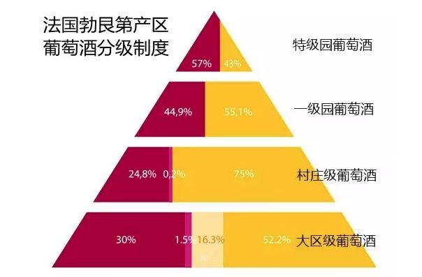 2024澳门特马今晚开什么,正确解答落实_FT81.224