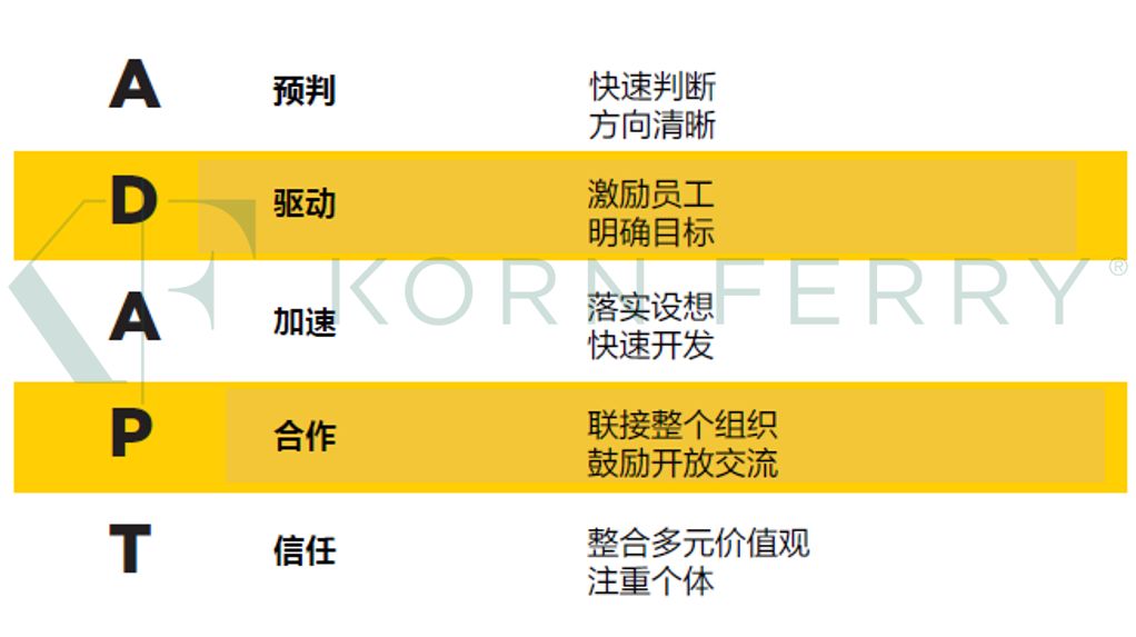 2024澳门今晚开特马开什么,前瞻性战略定义探讨_豪华版31.560