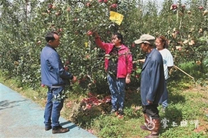 宣威市农业农村局最新发展规划概览