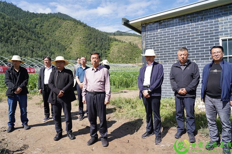 夏河县农业农村局最新动态报道