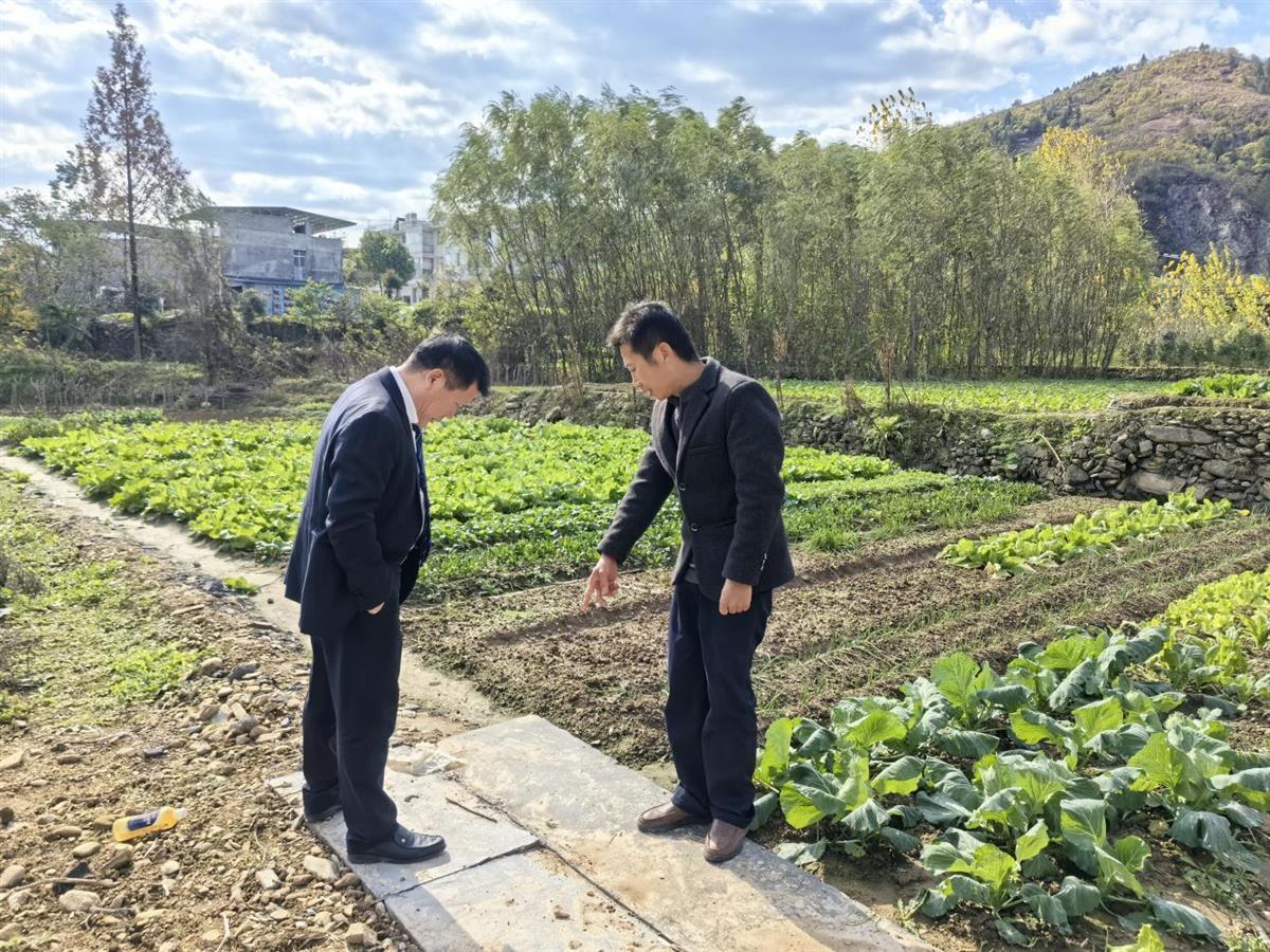 郧西县农业农村局推动农业现代化，助力乡村振兴新动态