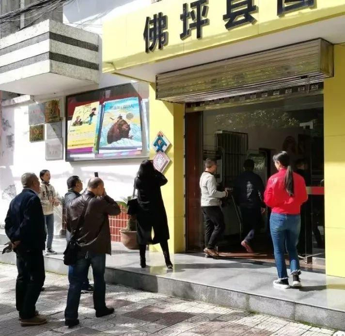 佛坪县图书馆发展规划，现代化知识殿堂助力文化繁荣