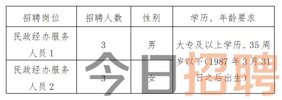 美溪区民政局招聘信息及相关内容深度解析